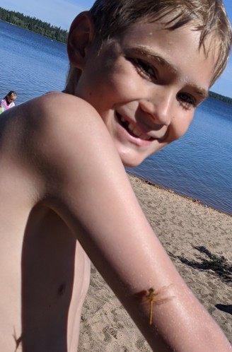 Reyd attracting dragon fly's at the lake