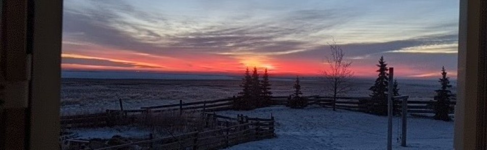 A frosty sunrise